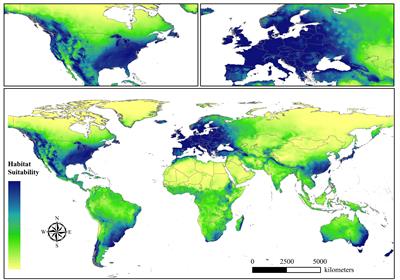 Spatial dynamic simulation of beetles in biodiversity hotspots